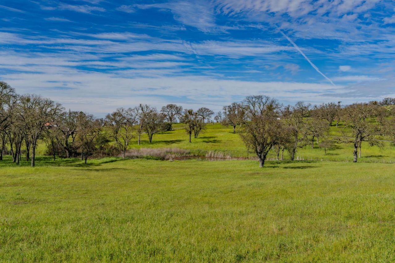 3290 Dry Creek Rd, Ione, CA 95640 Photo