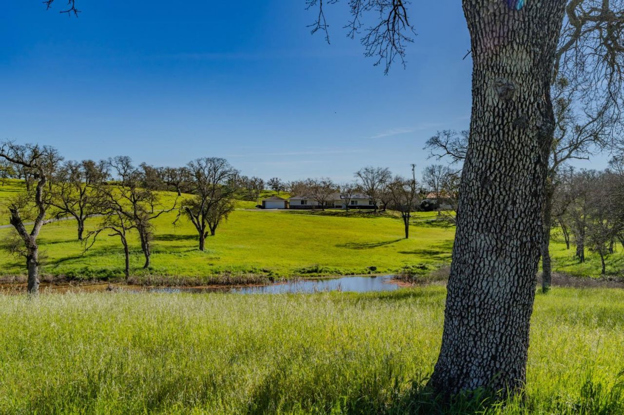 3290 Dry Creek Rd, Ione, CA 95640 Photo