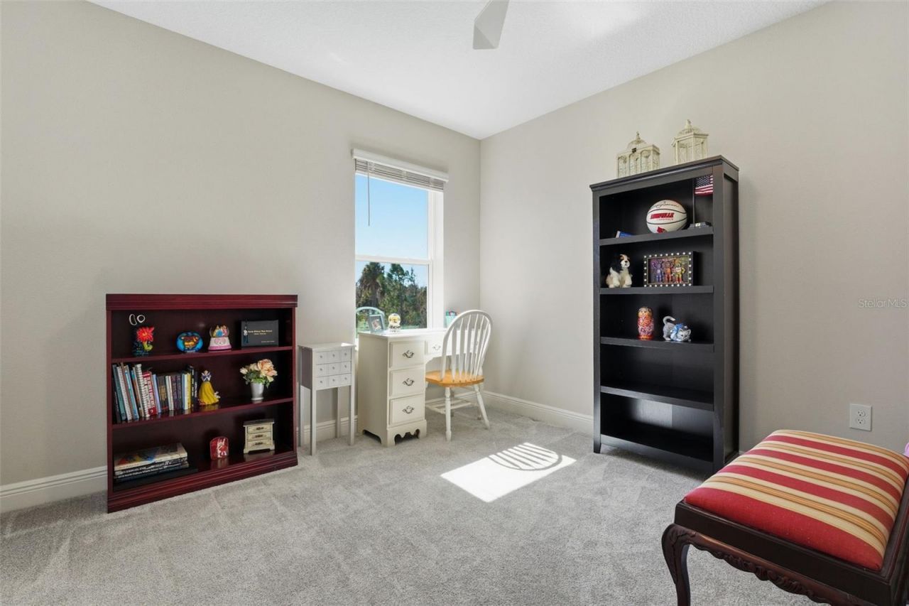 14307 Skipping Stone Loop, Parrish, FL 34219 Photo