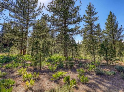 7445 Lahontan Drive, Truckee, CA 96161 Photo