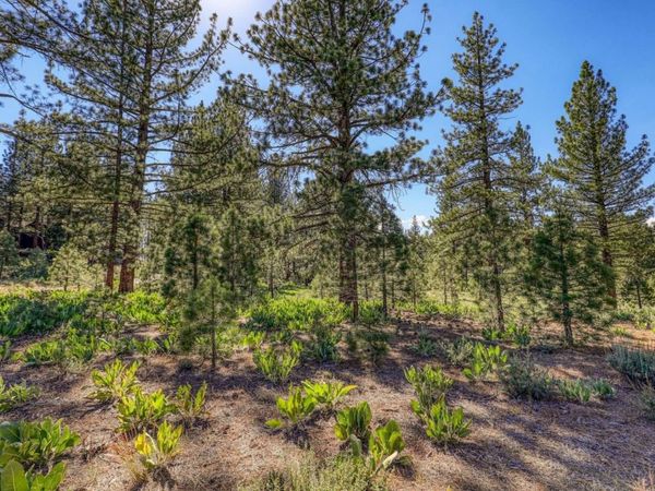 7445 Lahontan Drive, Truckee, CA 96161