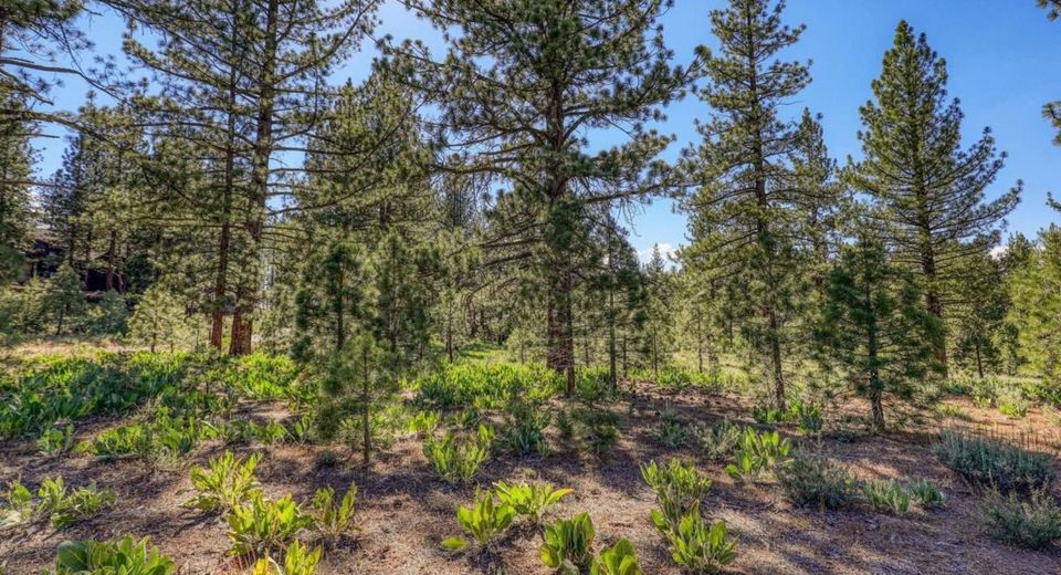 7445 Lahontan Drive, Truckee, CA 96161 Photo