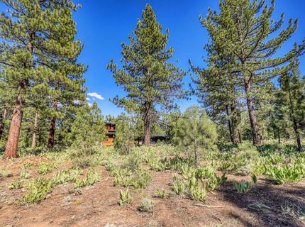 7445 Lahontan Drive, Truckee, CA 96161 Photo