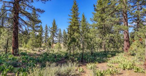 7445 Lahontan Drive, Truckee, CA 96161 Photo