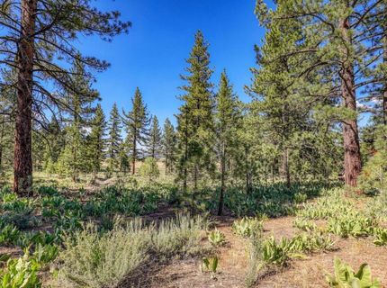 7445 Lahontan Drive, Truckee, CA 96161 Photo
