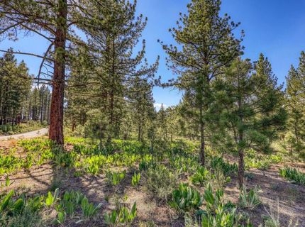 7445 Lahontan Drive, Truckee, CA 96161 Photo