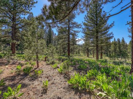 7445 Lahontan Drive, Truckee, CA 96161 Photo