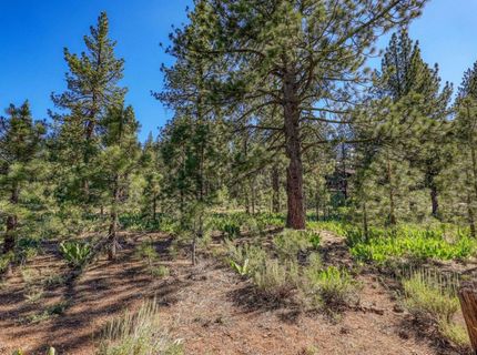 7445 Lahontan Drive, Truckee, CA 96161 Photo