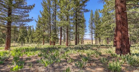 7445 Lahontan Drive, Truckee, CA 96161 Photo