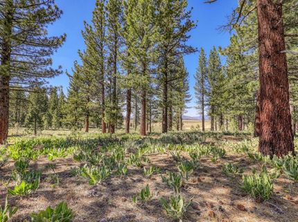 7445 Lahontan Drive, Truckee, CA 96161 Photo