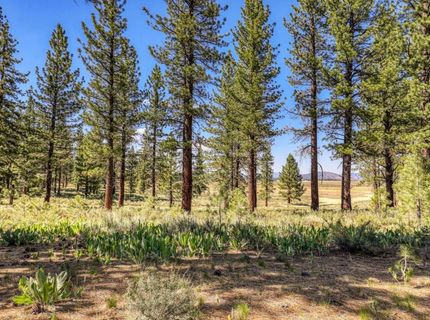 7445 Lahontan Drive, Truckee, CA 96161 Photo