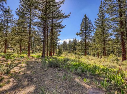 7445 Lahontan Drive, Truckee, CA 96161 Photo