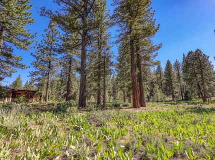 7445 Lahontan Drive, Truckee, CA 96161 Photo