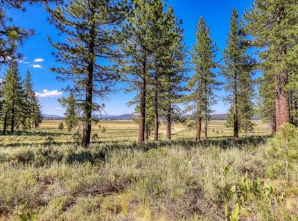 7445 Lahontan Drive, Truckee, CA 96161 Photo