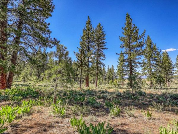 7455 Lahontan Drive, Truckee, CA 96161
