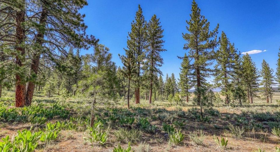 7455 Lahontan Drive, Truckee, CA 96161 Photo