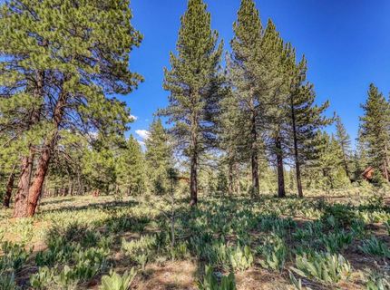 7455 Lahontan Drive, Truckee, CA 96161 Photo
