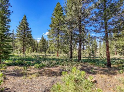 7455 Lahontan Drive, Truckee, CA 96161 Photo