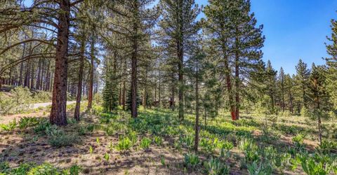 7455 Lahontan Drive, Truckee, CA 96161 Photo