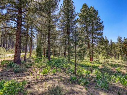 7455 Lahontan Drive, Truckee, CA 96161 Photo