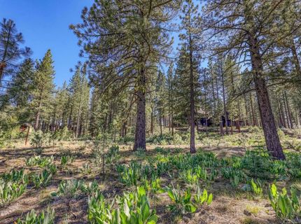 7455 Lahontan Drive, Truckee, CA 96161 Photo