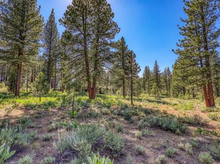 7455 Lahontan Drive, Truckee, CA 96161 Photo