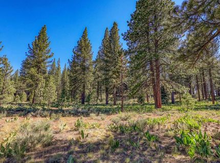 7455 Lahontan Drive, Truckee, CA 96161 Photo