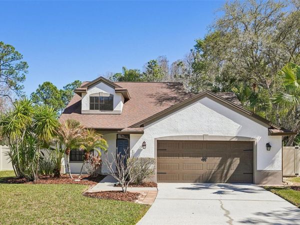 5620 ESSEX COURT , PALM HARBOR, FL 34685