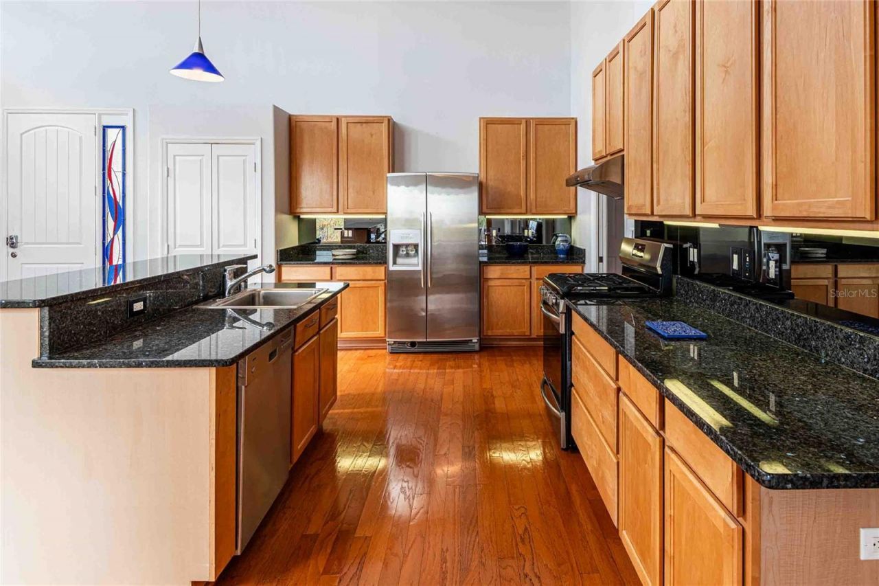 21150 Los Cabos Court, Land O Lakes, FL 34637 Photo