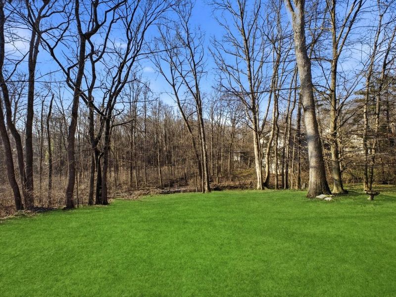 3780 Pine Ridge Drive, Lewis Center, OH 43035 Photo 43