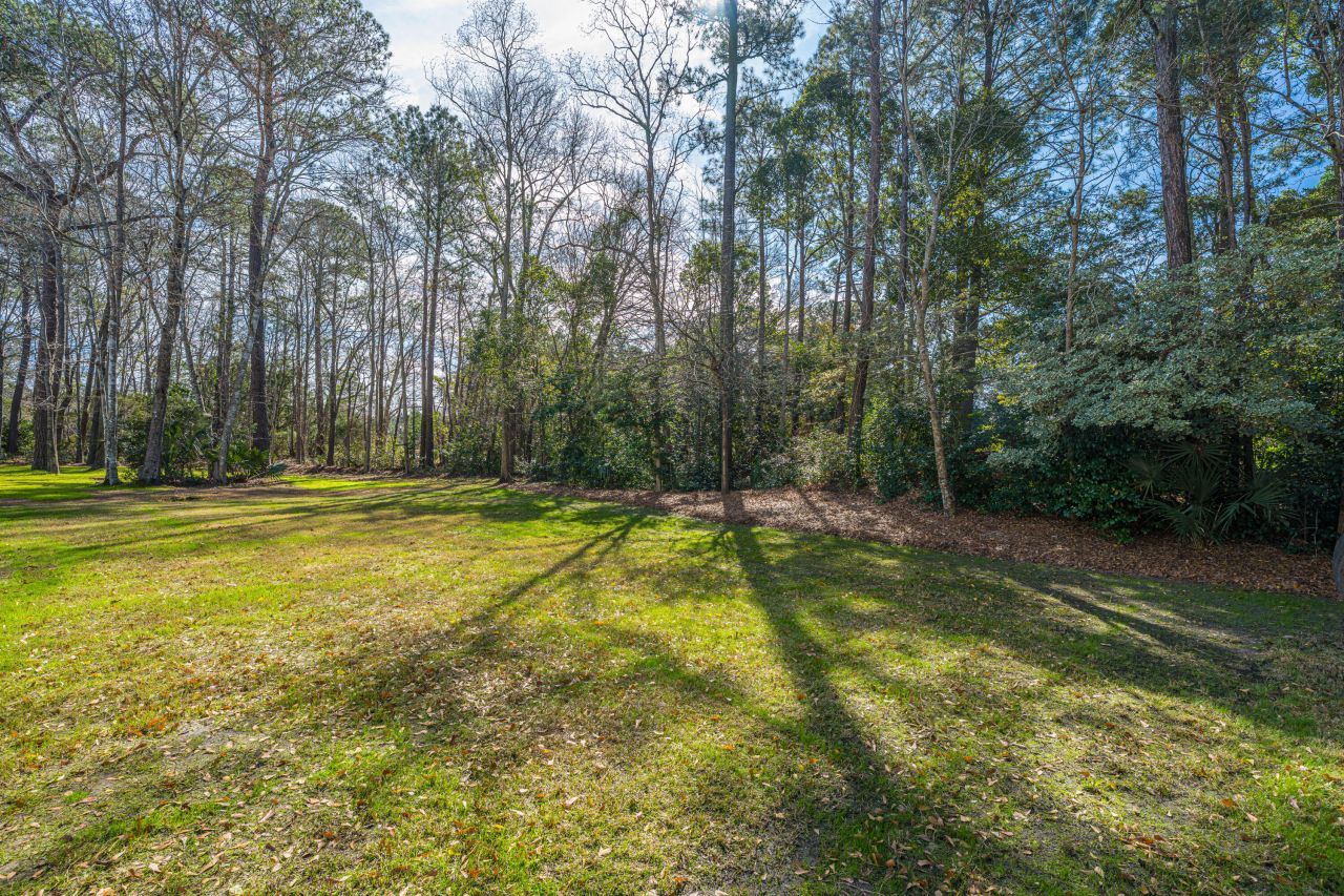 1702 William Hapton Way Photo 50