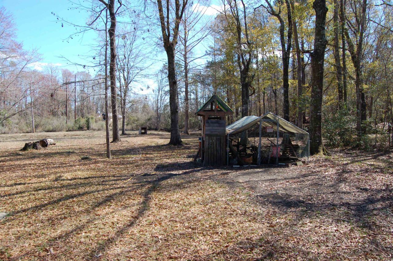 3700 Limerick Rd.  Photo 6