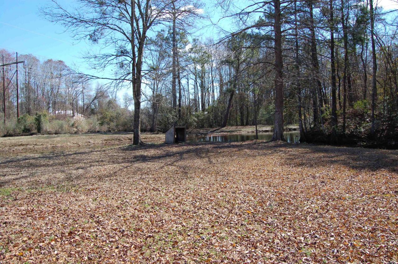 3700 Limerick Rd.  Photo 8