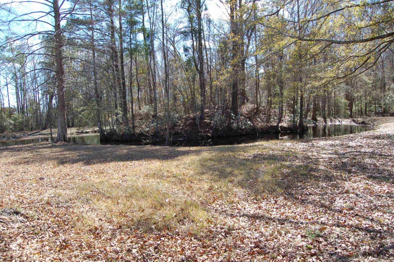 3700 Limerick Rd.  Photo 9