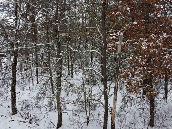 Lot 261 Tomahawk Trail, Necedah, WI 54646