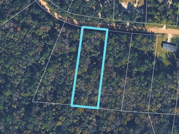 4955 CHICKPEA STREET , MIDDLEBURG, FL 32068