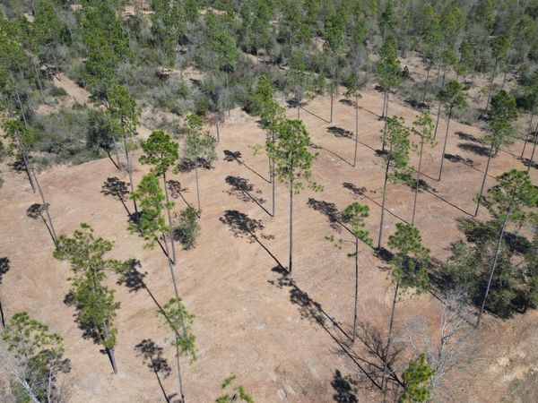 0 Archie Road, Elberta, AL 36530