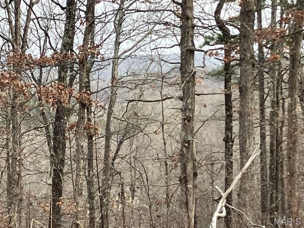 207 Madison CR 410 , Fredericktown, MO 63645