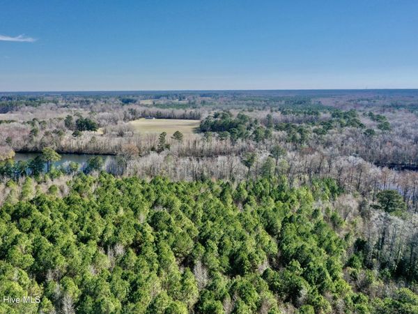 0 Near 2034 Haynes Len Highway, Cerro Gordo, NC 28430