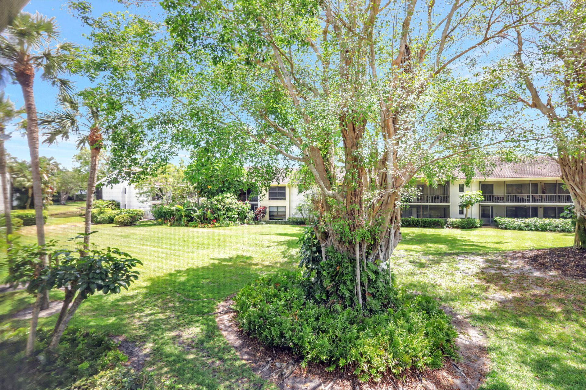 6890 Willow Wood Drive, Unit 206, Boca Raton, FL 33434 Photo