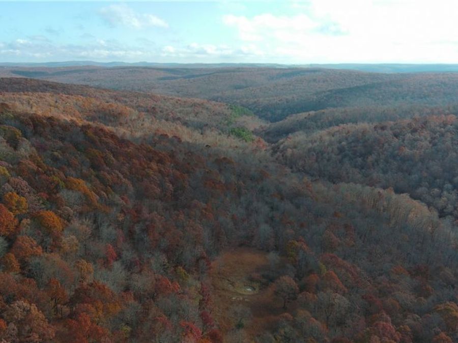 Property Image 7
