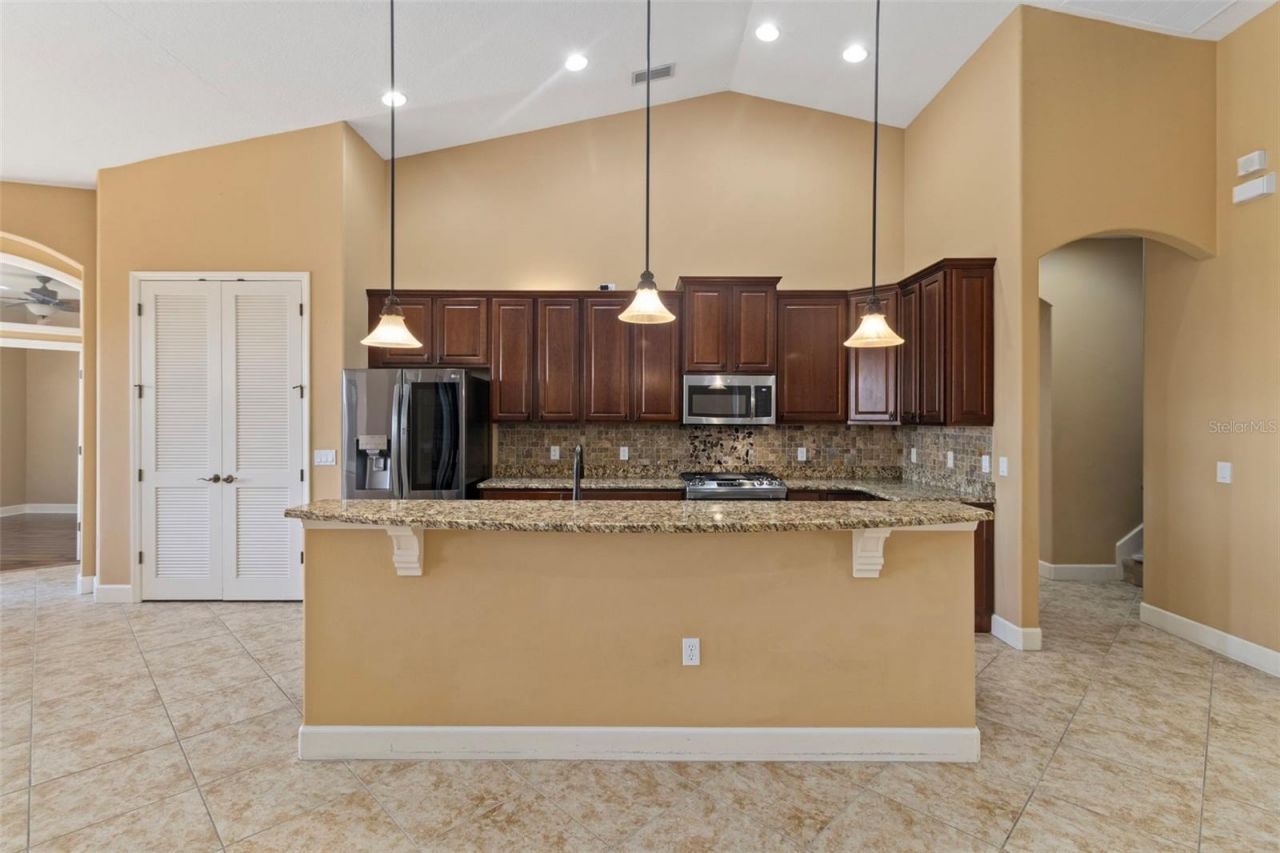14316 Silver Trout Drive, Lakewood Ranch, FL 34202 Photo