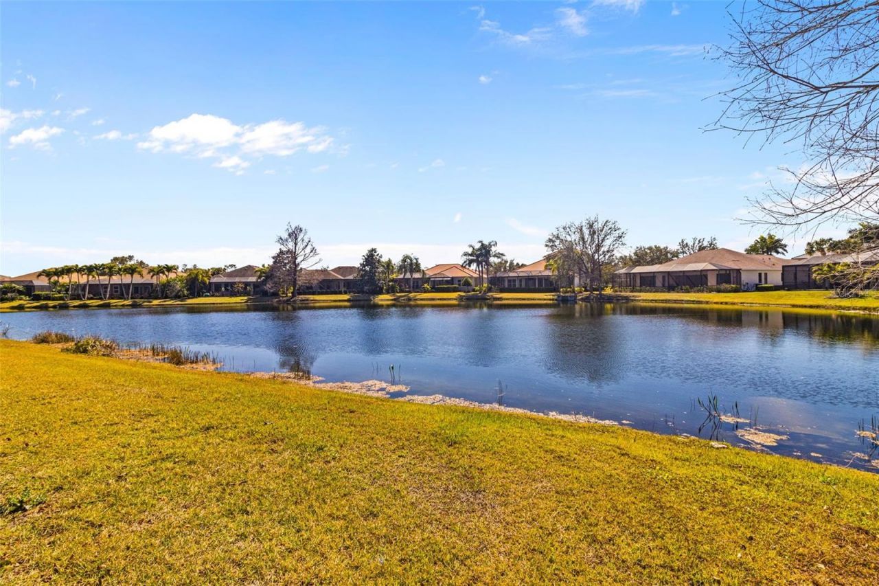 14316 Silver Trout Drive, Lakewood Ranch, FL 34202 Photo