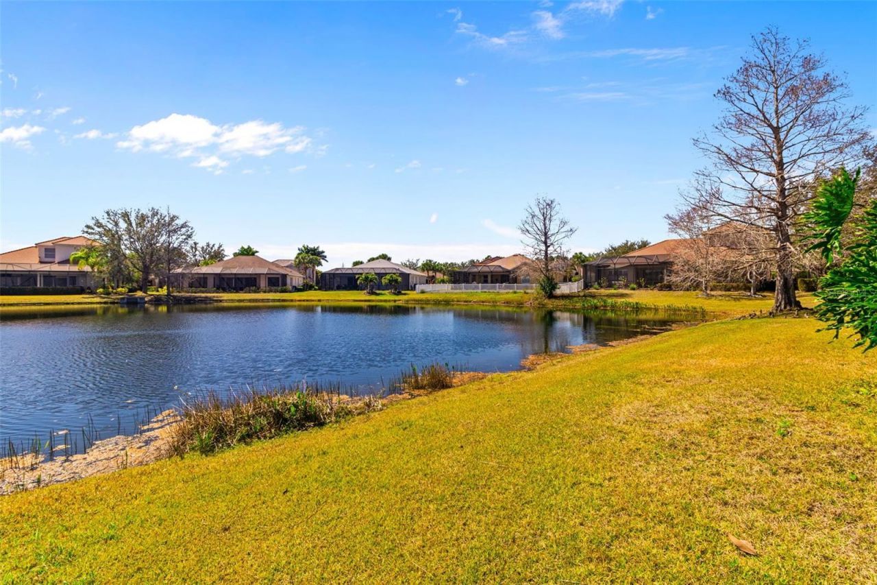 14316 Silver Trout Drive, Lakewood Ranch, FL 34202 Photo
