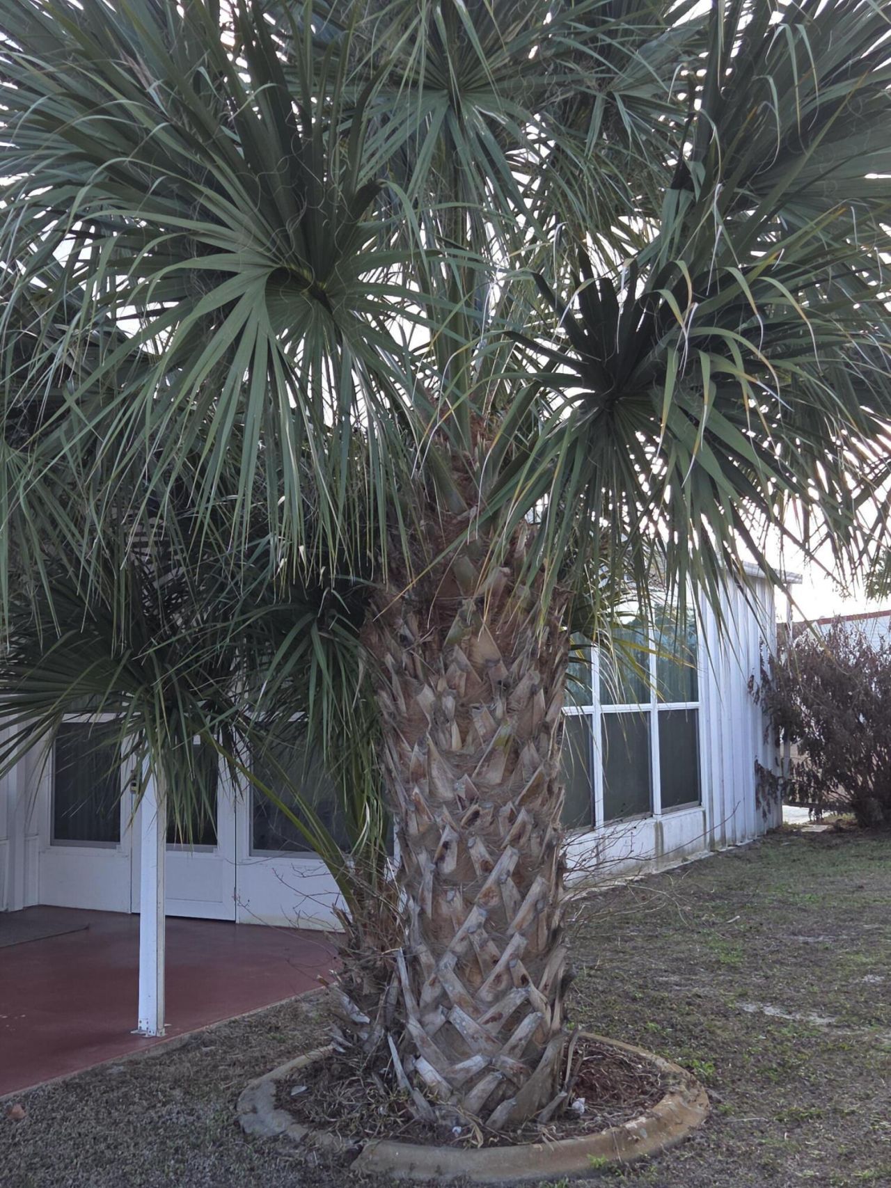 2915 Roger Street, Sebring, FL 33872 Photo