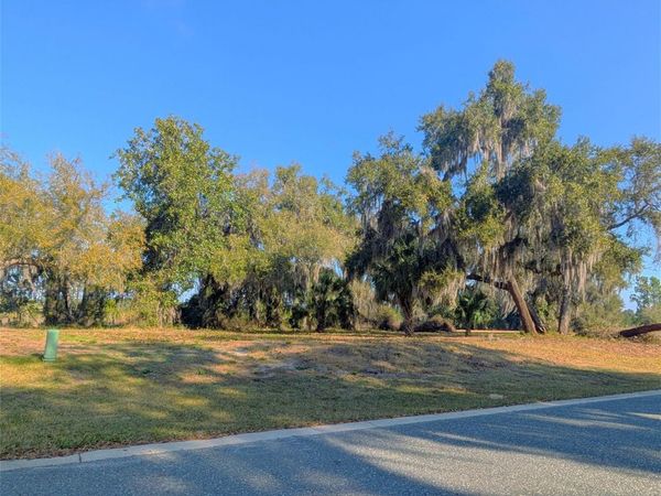 446 LONG AND WINDING ROAD, HOWEY IN THE HILLS, FL 34737