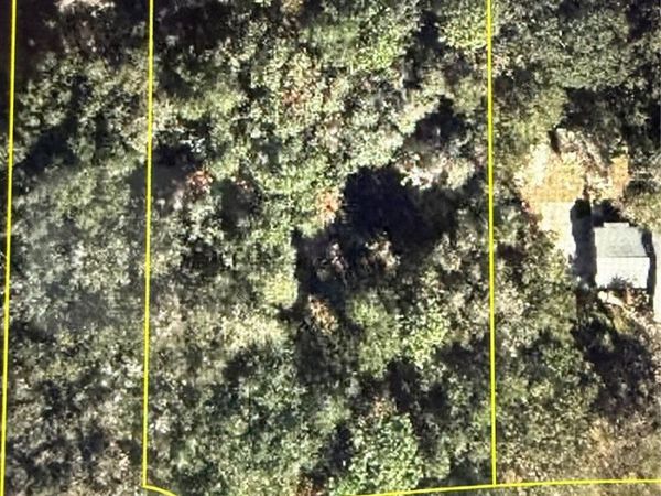 101 PINEY WOODS ROAD , APOPKA, FL 32703