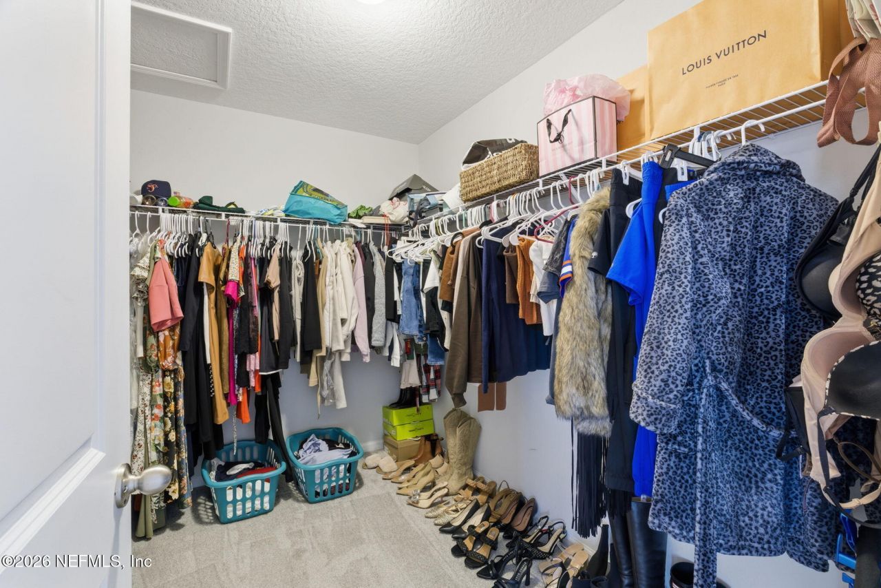 623 Ivory Palm Road, Orange Park, FL 32073 Photo