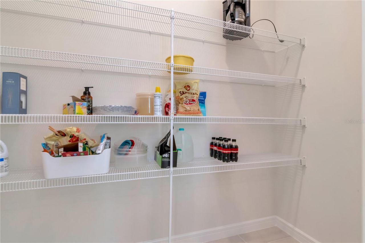 6462 Bradford Woods Drive , Zephyrhills, FL 33542 Photo