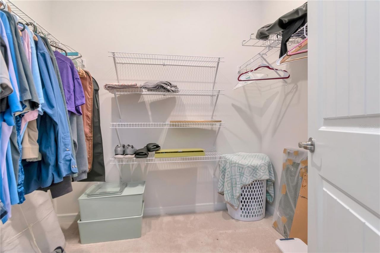 6462 Bradford Woods Drive , Zephyrhills, FL 33542 Photo